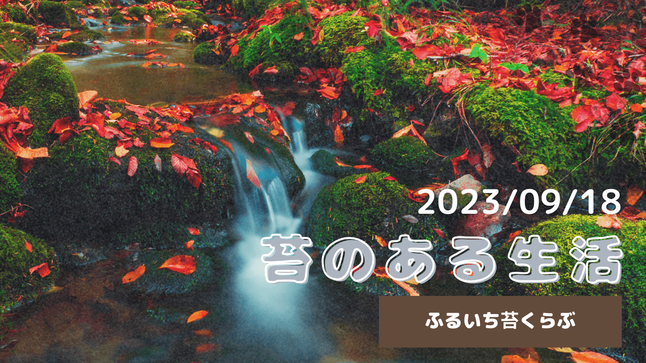 9月18日の苔アートワークショップ