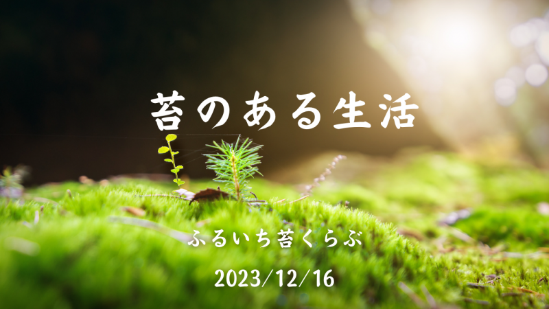 12月16日の苔アートワークショップ