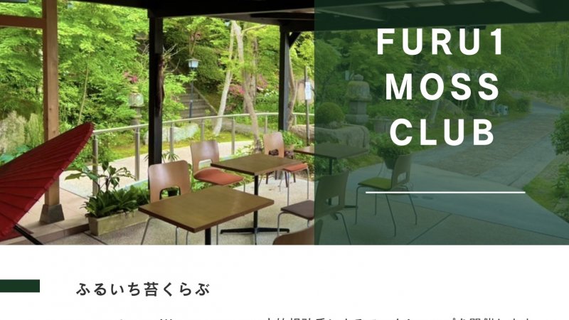 5月【毎月1回開催】 今月も『苔ワークショップ』開催！