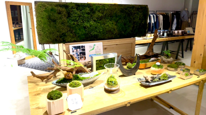 苔アーティスト小竹規弘『苔アート展&販売会』が 真庭市蒜山「GREENableHIRUZEN」で開催中!!