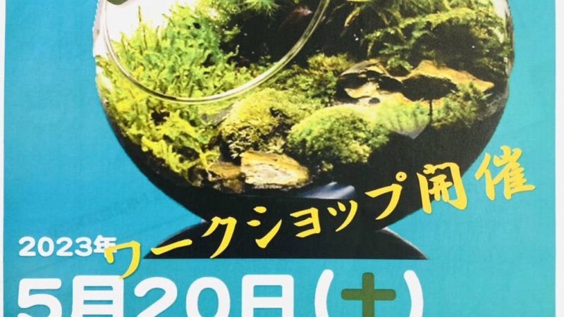 5月も苔アートワークショップ💖