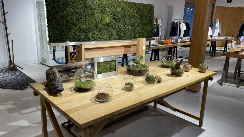 GREENable HIRUZENで苔活動✨