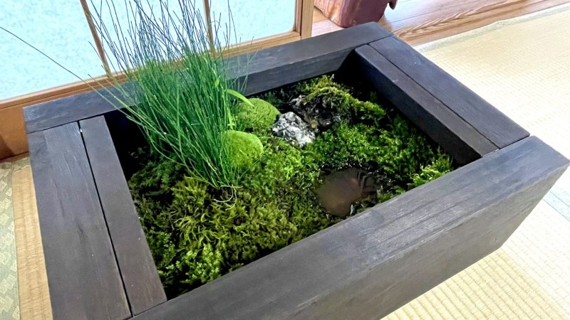 苔アートギャラリーの設営✨