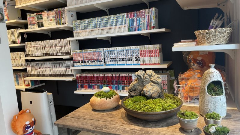 ふるいちトキワ荘通り店で苔ワークショップ初開催🎉✨