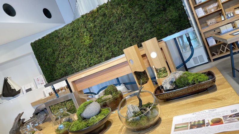 『森の芸術祭 岡山』蒜山にて出展✨